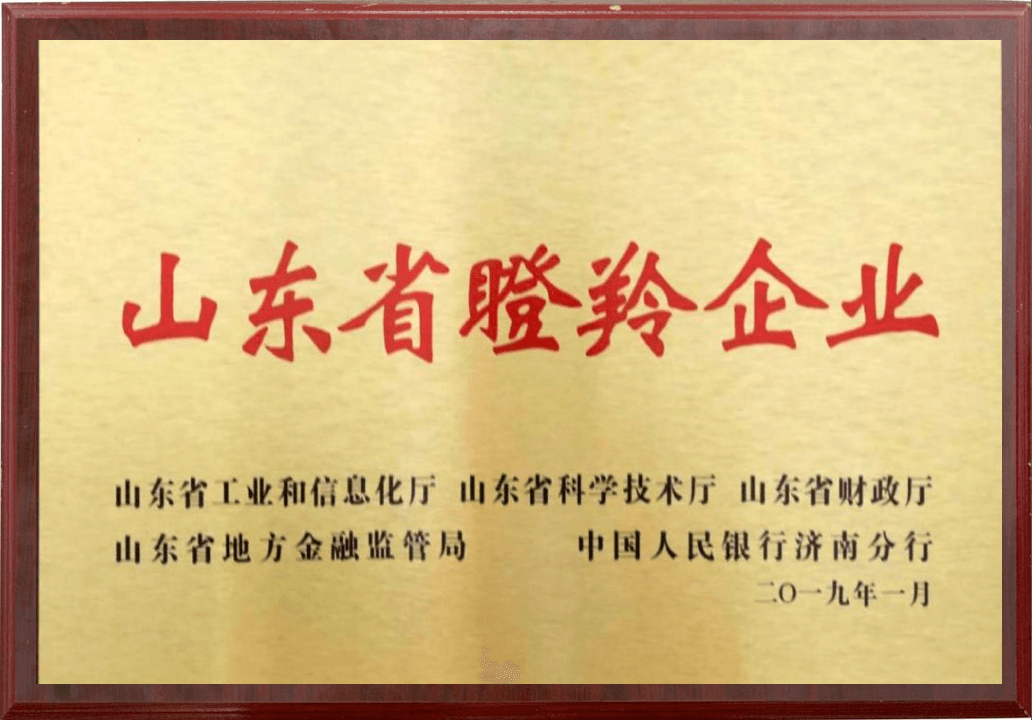 2019年山东省瞪羚企业