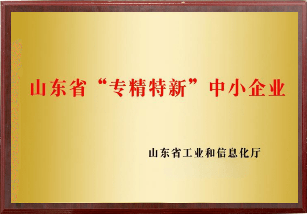 2023年山东省专精特新