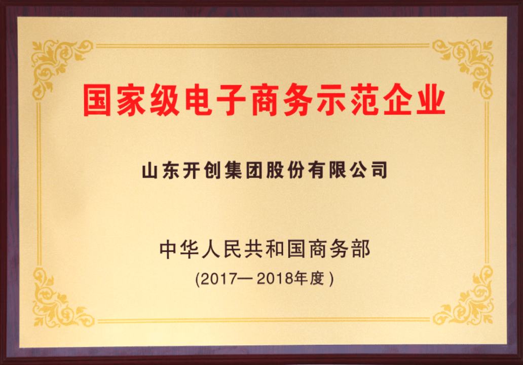 2017年国家级电子商务示范企业